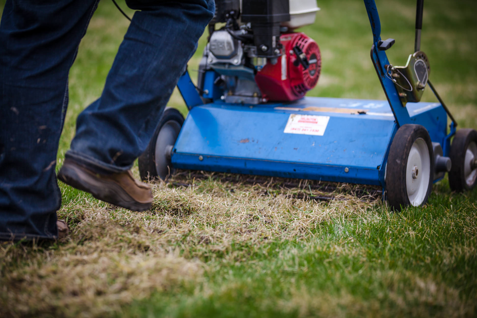 FAQs-Lawn-Dethatching-service-in-Crystal-Lake-IL - Lawn Service Company