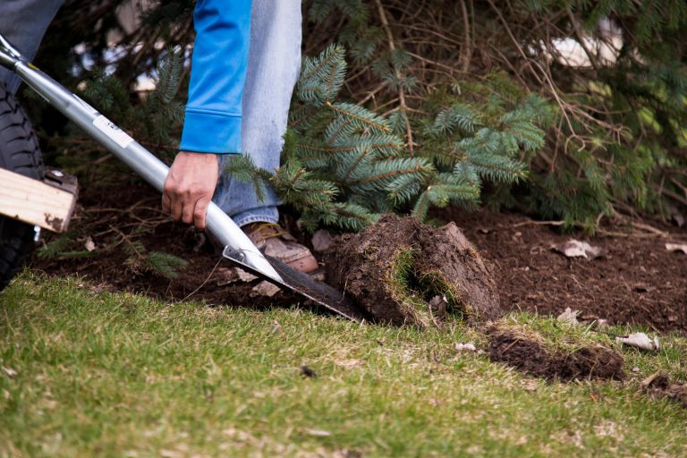 Bed Edging Landscape Maintenance Service 60014