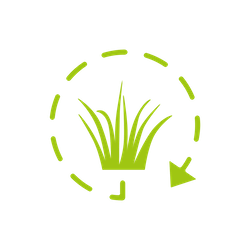 lawn-aerator-lawn-care-service-overall-turf-health-improvement-dethatching-company