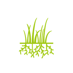 yard-service-near-me-core-aeration-service-improved-grass-turf-roots