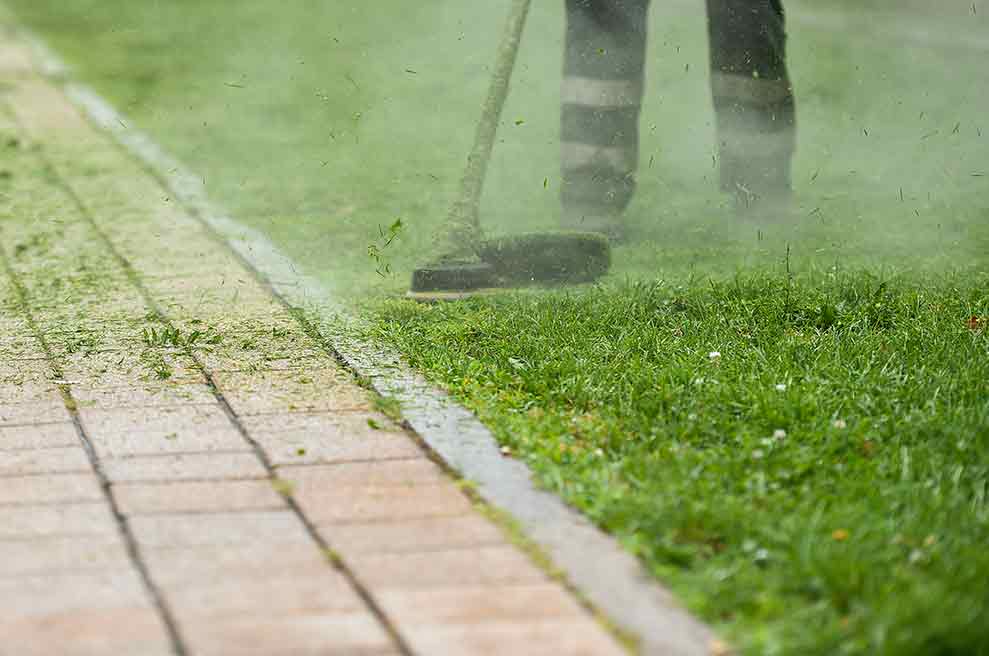 Elite Lawn Care team Trimming A Lawn in Illinois