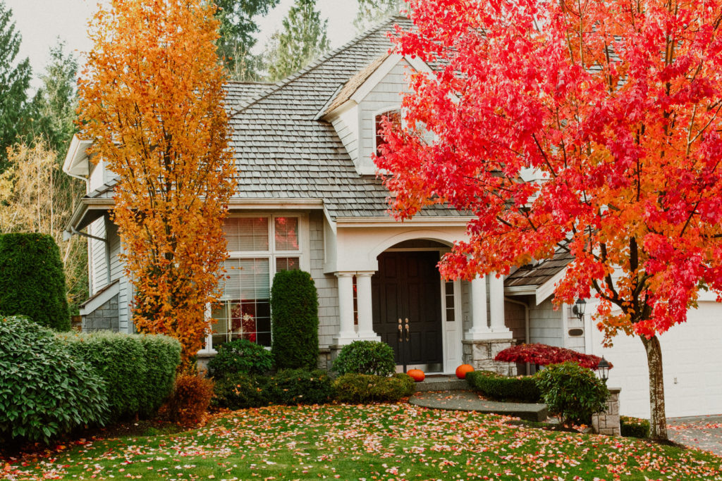 Chicago Fall Clean Up Service
