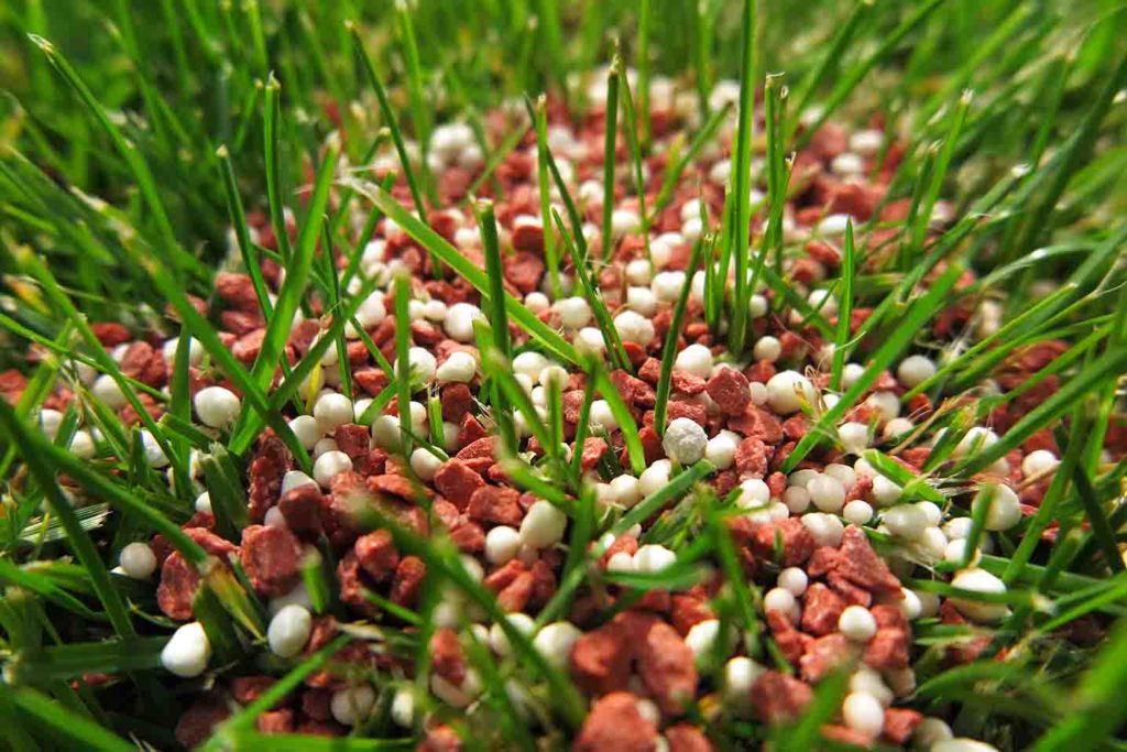 Granular Fertilizer
