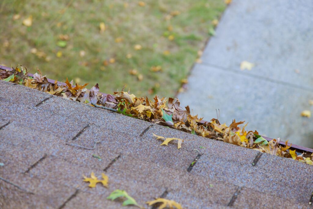 Fall Gutter Cleaning