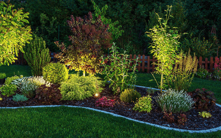 Illuminated Garden by LED Lighting. Backyard Garden at Night Closeup Photo.